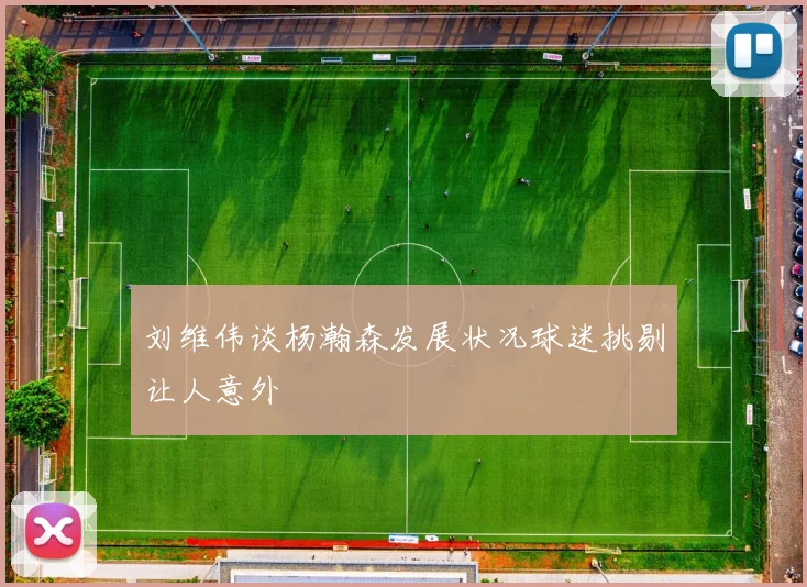 刘维伟谈杨瀚森发展状况球迷挑剔让人意外